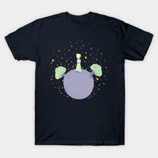 The little prince T-Shirt